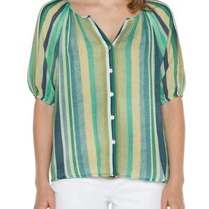 Liverpool Multicolor Striped Sheer Blouse